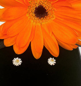 Sterling Silver Daisy Stud Earrings